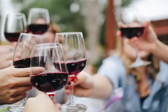 Decatur Wine Festival - About